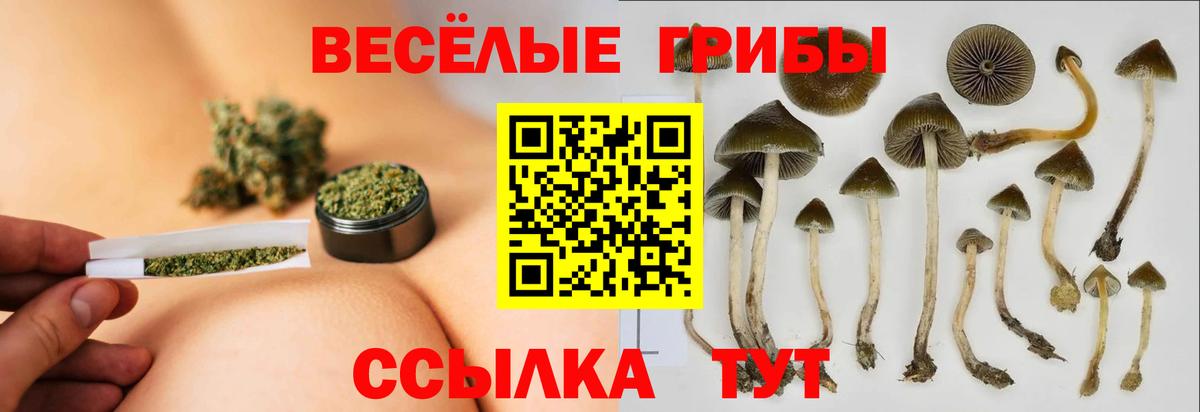 Королёв  Псилоцибиновые грибы Magic Shrooms  Вход с VPN 